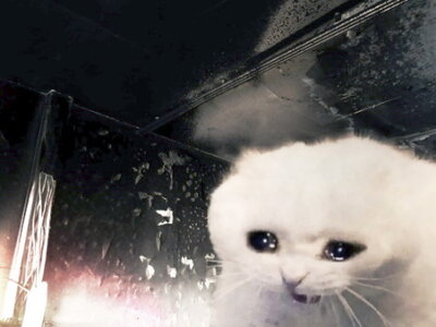 cat_weep1.jpg