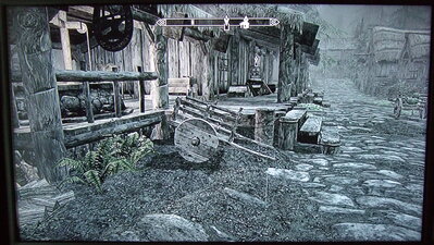 kivi_skyrim.jpg