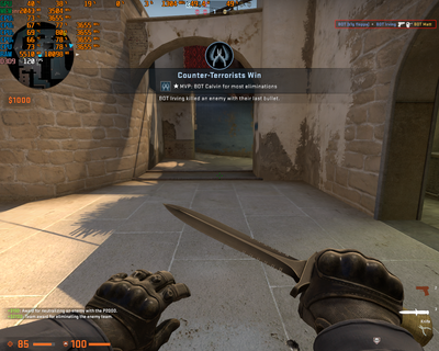 Counter-strike  Global Offensive Screenshot 2021.04.24 - 21.27.09.35.png