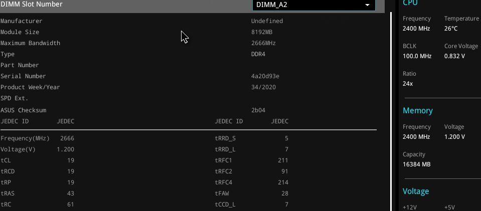 dimm a2 single.JPG