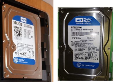 WD Caviar Blue 500GB WD5000AAKX.JPG