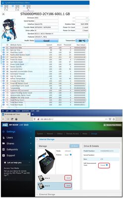 Seagate Barracuda 6TB_ST6000DM003_CrystalDiskInfoMark_20190906.jpg