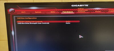 cad bus.jpg