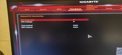 core voltage friquency.jpg