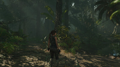 forest_rays_OFF.jpg