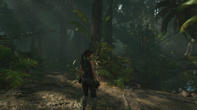 forest_rays_ON.jpg