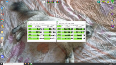 Screenshot (20).png