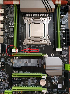 x79T.jpg