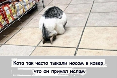изображение_2021-09-07_094326.png