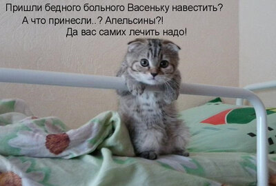 1565250457_10.jpg