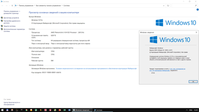 W10x64pro 2004.19041.1237.png