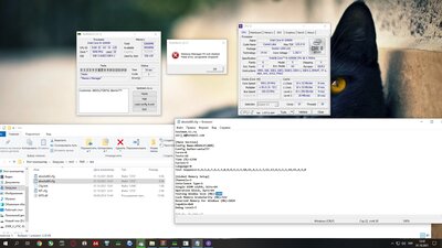 Screenshot_12.jpg