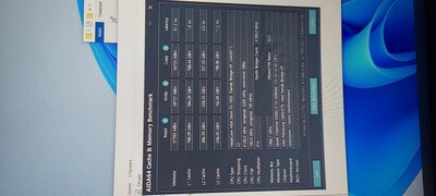 IMG_20211103_000333.jpg
