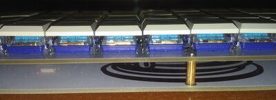 IMG_20211105_0128399.jpg
