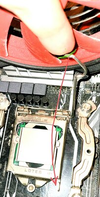 20211224_181124.jpg