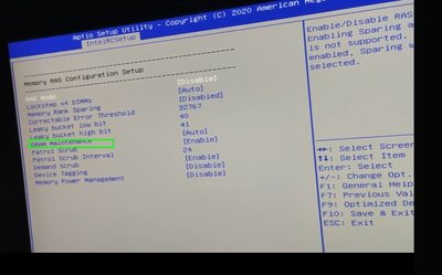 DRAM Maintenance.jpg