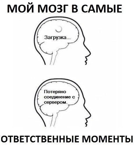 МОЗГ.jpg