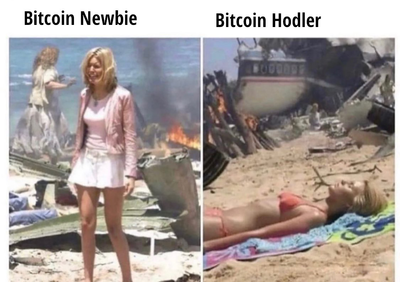 btc_newbieVSholder.png
