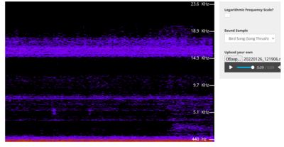Снимок экрана (189).png