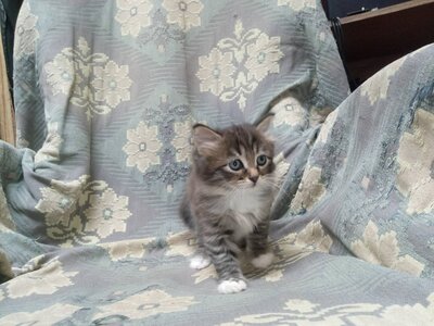 изображение_viber_2022-01-26_22-08-22-470.jpg