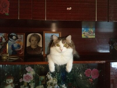 изображение_viber_2022-01-26_22-08-22-649.jpg
