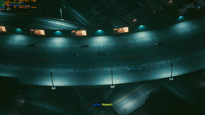 Cyberpunk 2077 Screenshot 2021.01.08 - 15.35.57.35.png