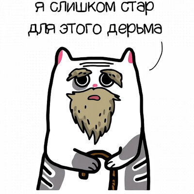 15574096.jpg