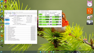 Снимок экрана (12).png