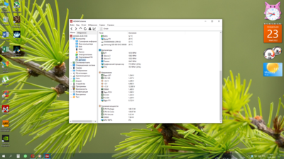 Снимок экрана (5).png