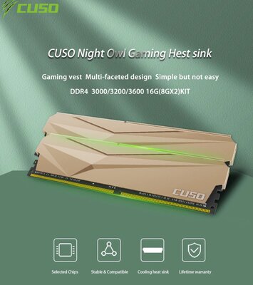 DDR4 cuso.jpg