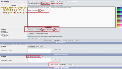 прячем картинку.jpg