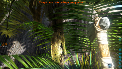 Ark Survival Evolved_2022.09.04-11.16_01.png