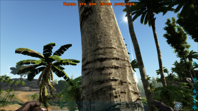 Ark Survival Evolved_2022.09.04-12.46.png