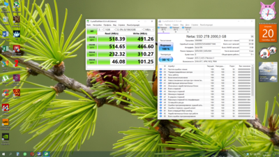 Снимок экрана (8).png