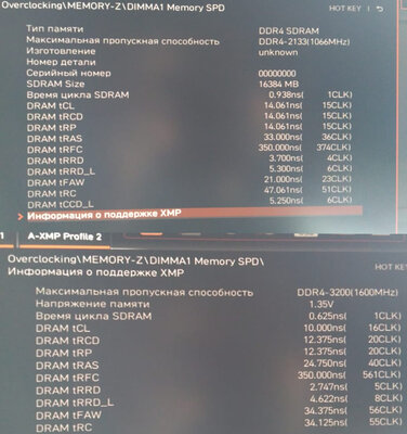xmp_Netac-ddr4_all-info_web.jpg