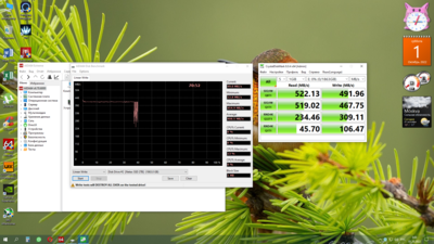 Снимок экрана (10).png