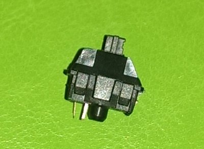 IMAG1402.jpg