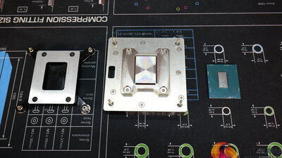 P1004691-copy.jpg
