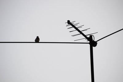 DSC_2106.JPG