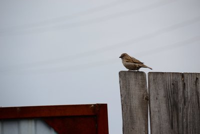 DSC_2303.JPG