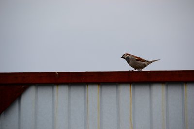 DSC_2318.JPG
