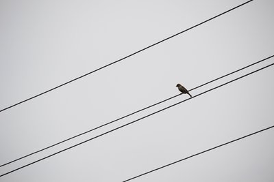 DSC_2337.JPG