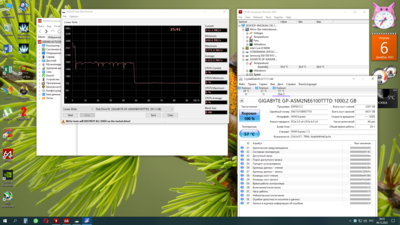 Снимок экрана (19).png