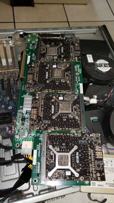 20210616_082429 (003).jpg