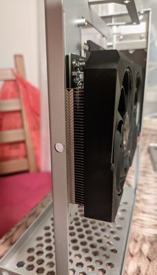 PXL_20230117_044056082-01.jpeg