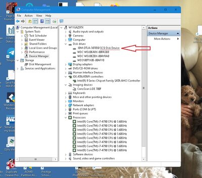 IBM-DTLA-30730 HDD as SCSI in Device Manager.jpg