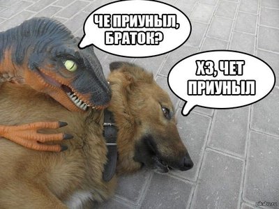 1421961632_284050602.jpg