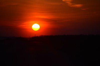 DSC_2417.JPG
