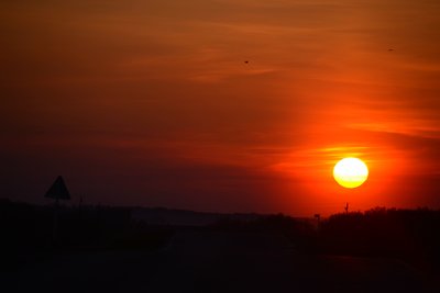 DSC_2425.JPG