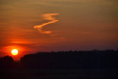 DSC_2439.JPG
